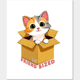 Friend Sized Kitten In A Box #2 Posters and Art